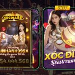 Cac Loai Xoc Dia Pho Bien Nhat Tren Xocdia88 Hien Nay